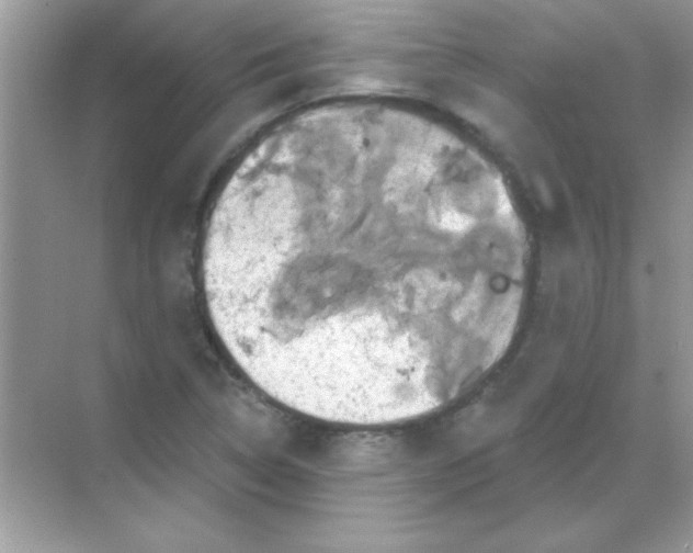 X0000068721314200605192243