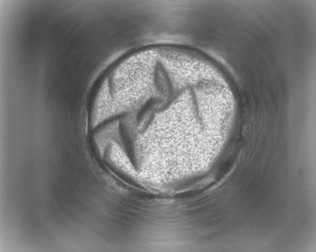 X0000068721317200605192243