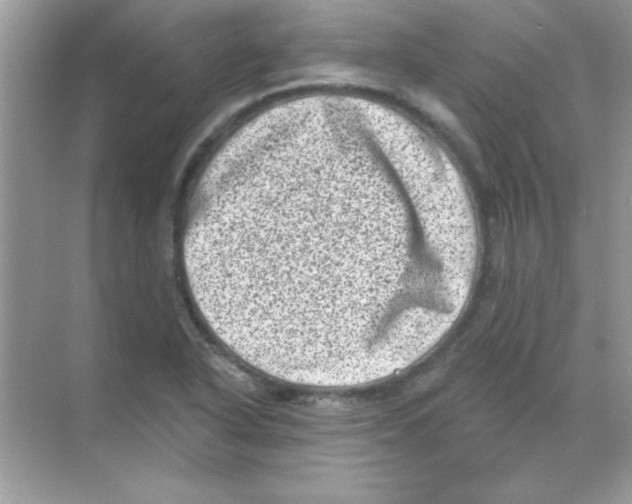 X0000068721318200605192243