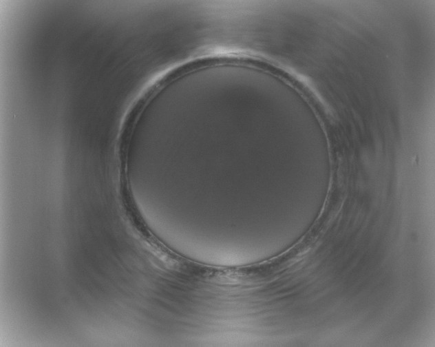 X0000068721319200605192243