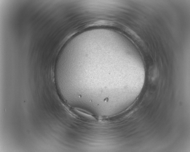 X0000068721321200605192243