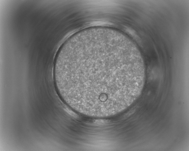 X0000068721322200605192243