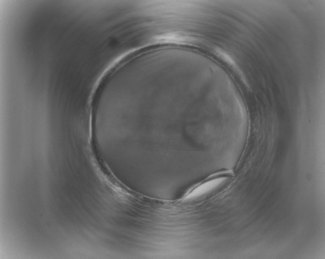 X0000068721323200605192243