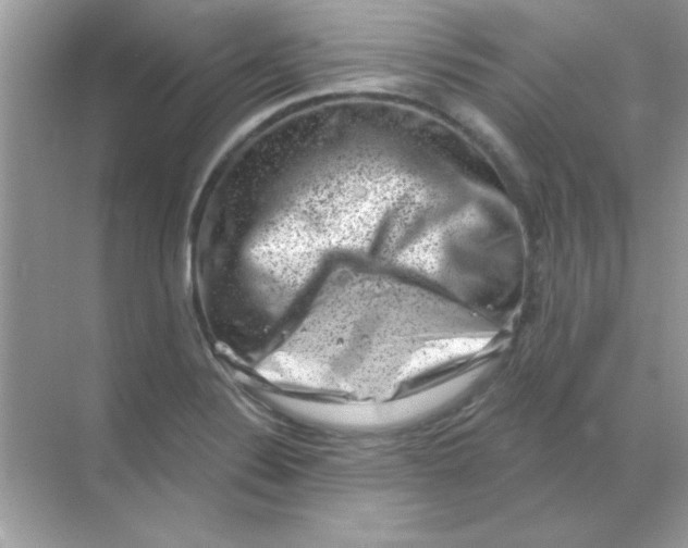 X0000068721324200605192243