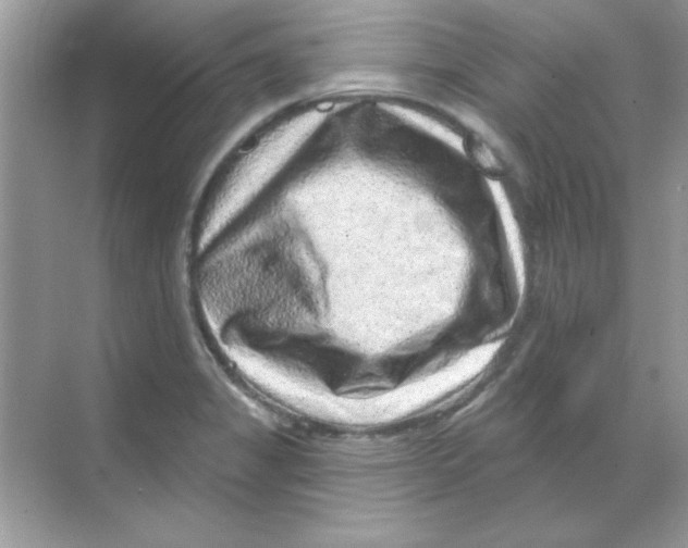 X0000068721325200605192243