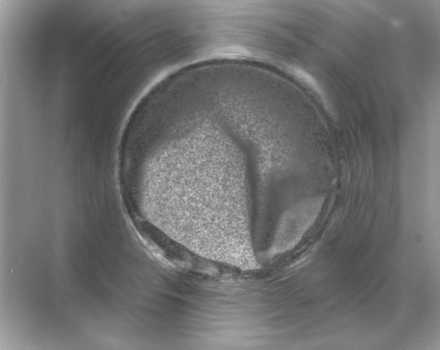 X0000068721326200605192243