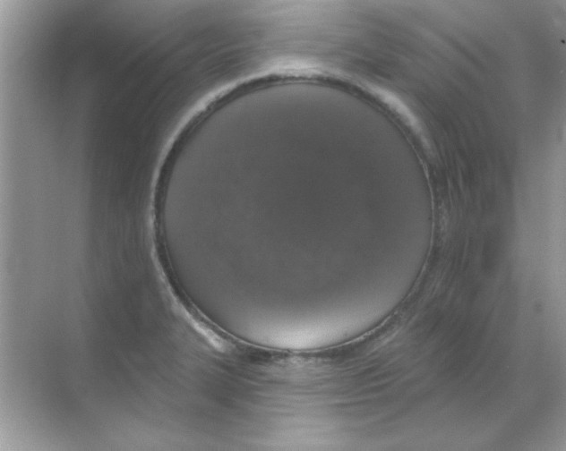 X0000068721327200605192243