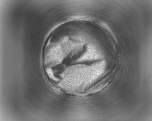 X0000068721328200605192243