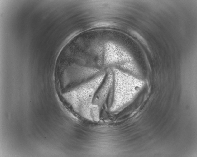 X0000068721330200605192243