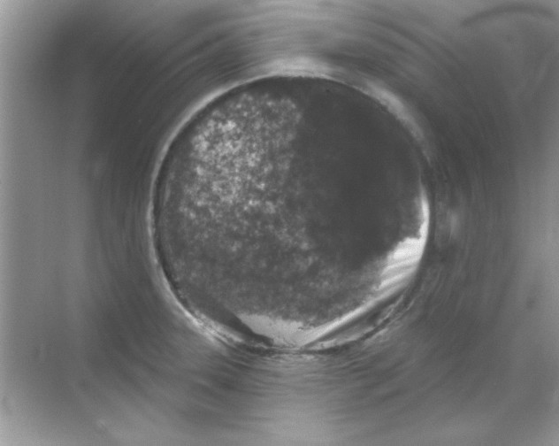 X0000068721331200605192243