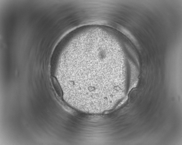 X0000068721332200605192243