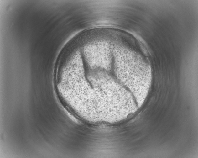 X0000068721333200605192243