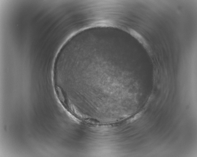 X0000068721334200605192243