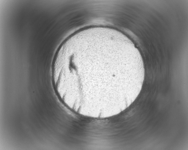 X0000068721335200605192243