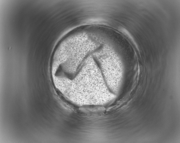 X0000068721336200605192243