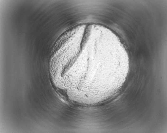 X0000068721337200605192243