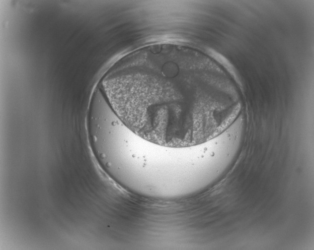 X0000068721338200605192243