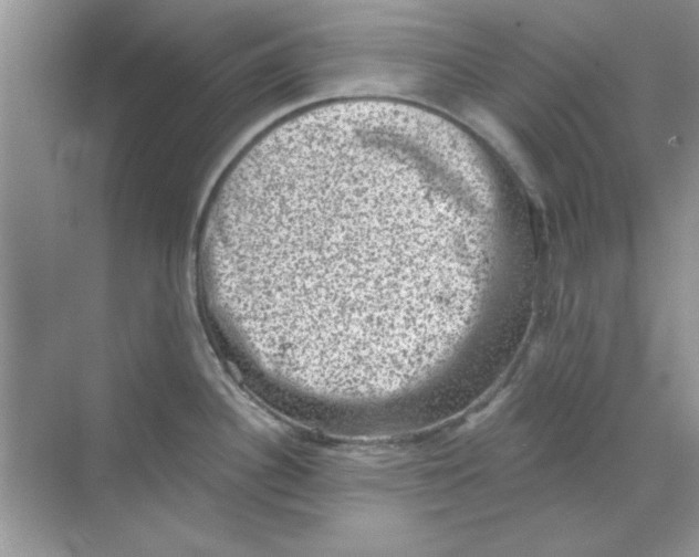 X0000068721340200605192243