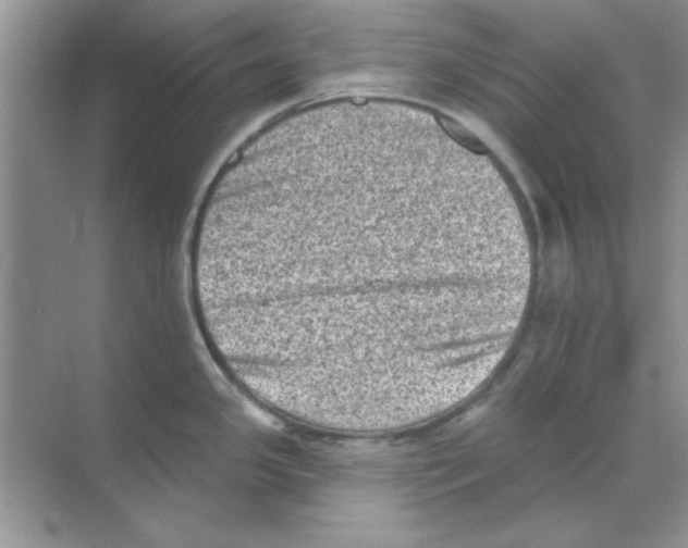 X0000068721341200605192243