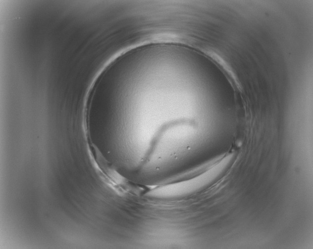 X0000068721342200605192243