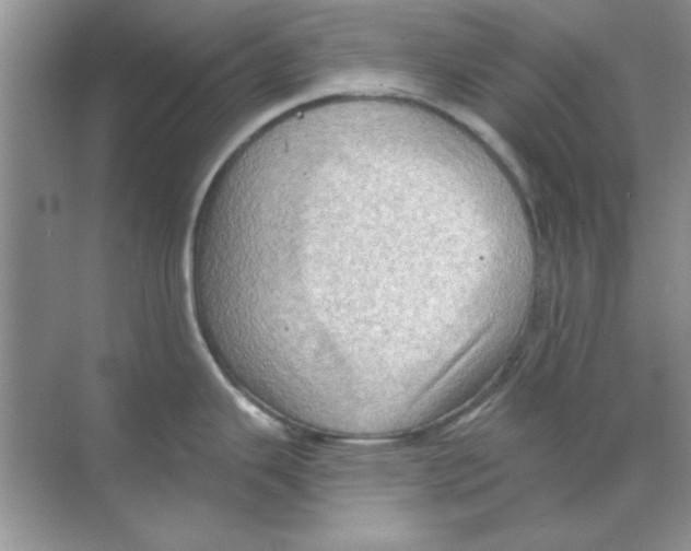 X0000068721343200605192243