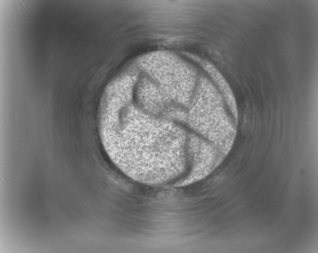 X0000068721345200605192243