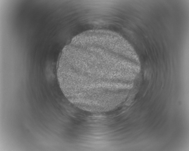 X0000068721346200605192243