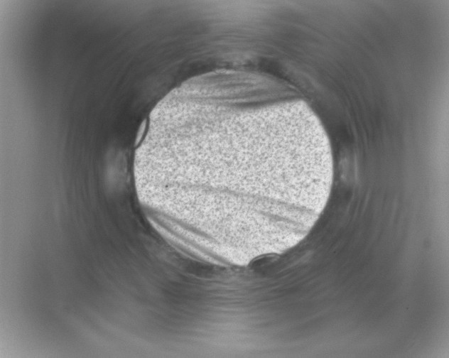 X0000068721347200605192243