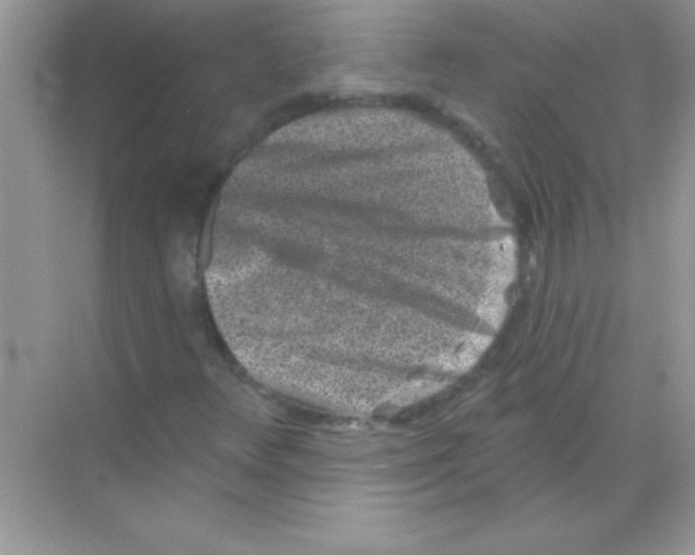 X0000068721348200605192243