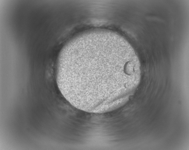 X0000068721349200605192242