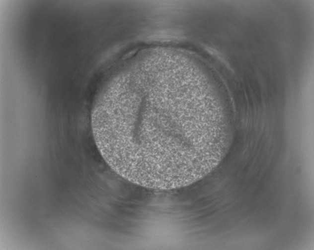 X0000068721350200605192242