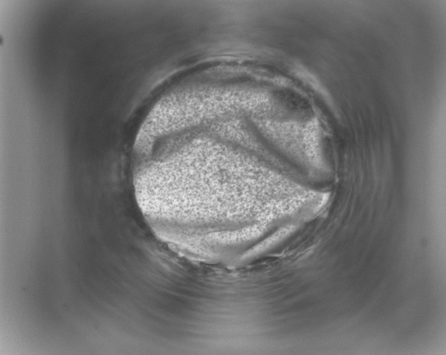 X0000068721352200605192242