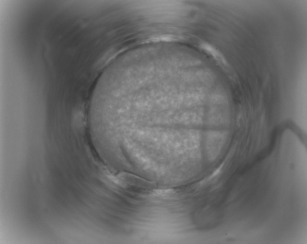 X0000068721353200605192242