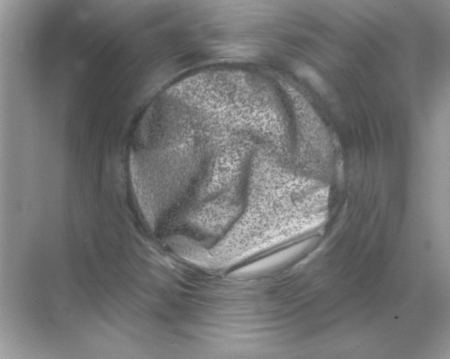 X0000068721354200605192242