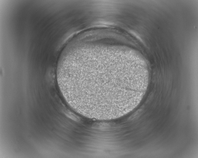 X0000068721355200605192242