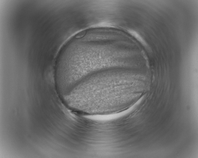 X0000068721356200605192242