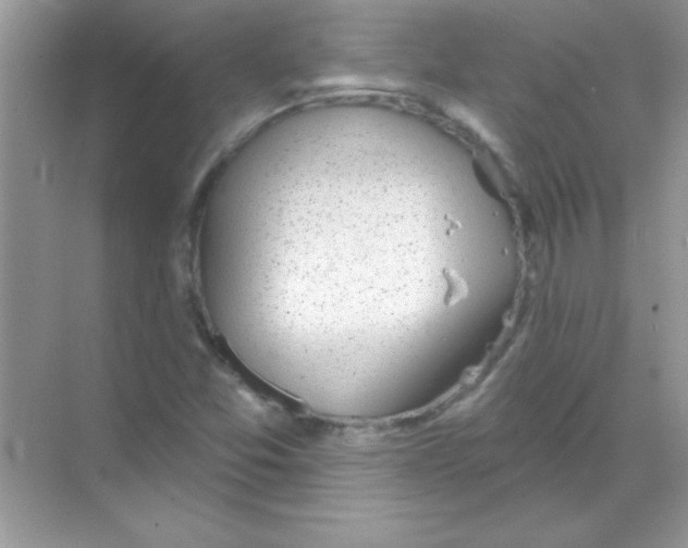 X0000068721357200605192242