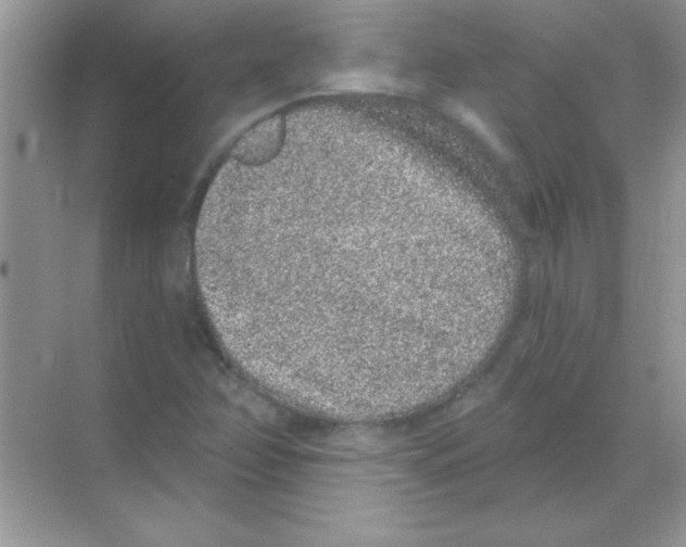 X0000068721358200605192242