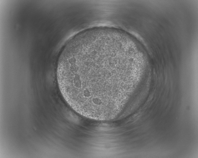 X0000068721359200605192242