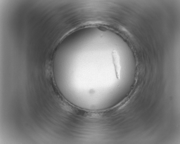 X0000068721361200605192242