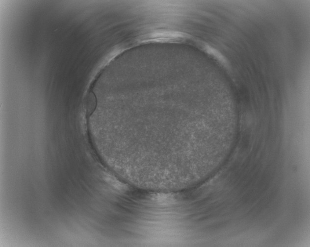 X0000068721362200605192242