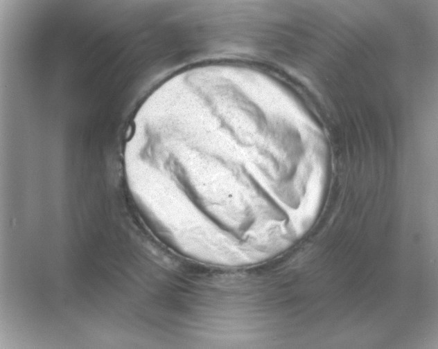 X0000068721363200605192242