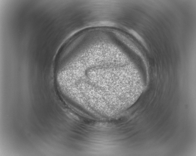 X0000068721364200605192242