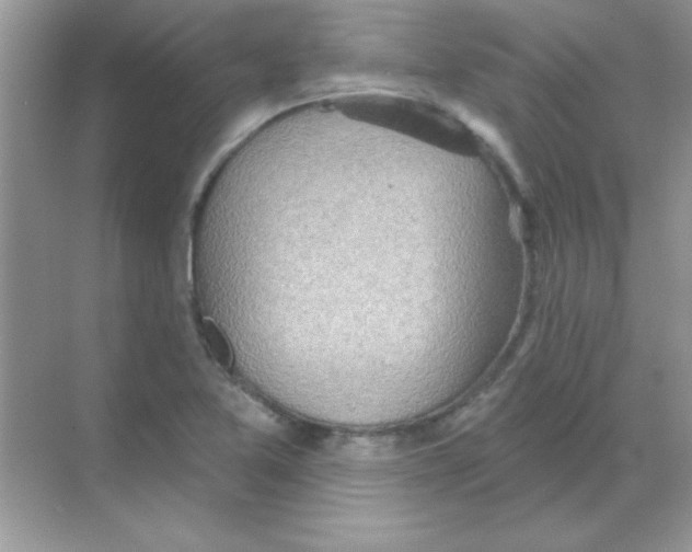 X0000068721365200605192242