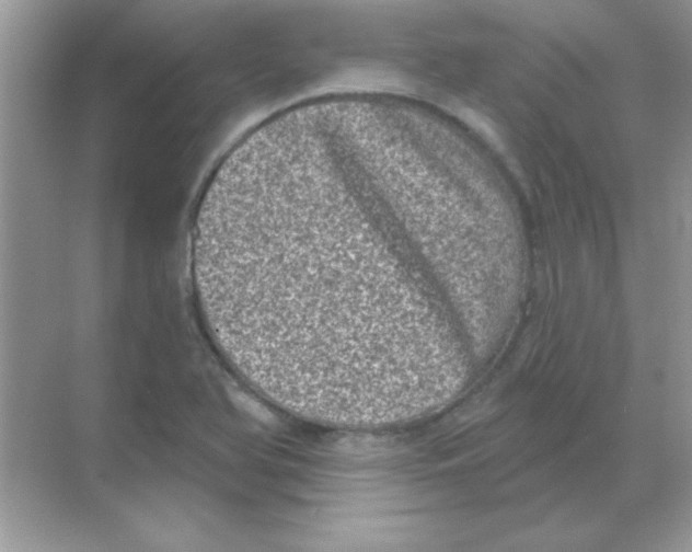 X0000068721366200605192242