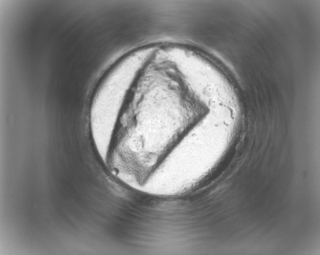 X0000068721367200605192242