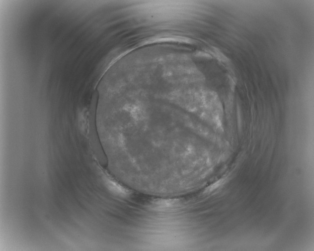 X0000068721369200605192242