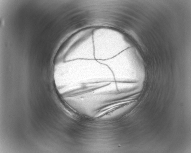 X0000068721371200605192242