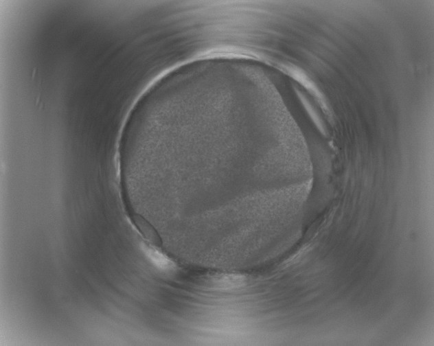 X0000068721372200605192242