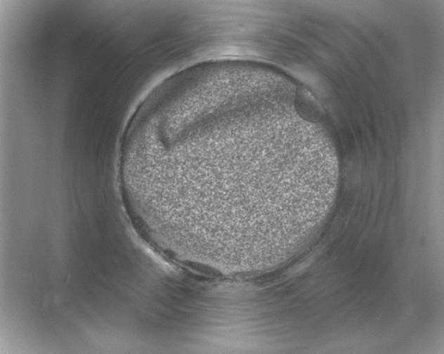 X0000068721374200605192242